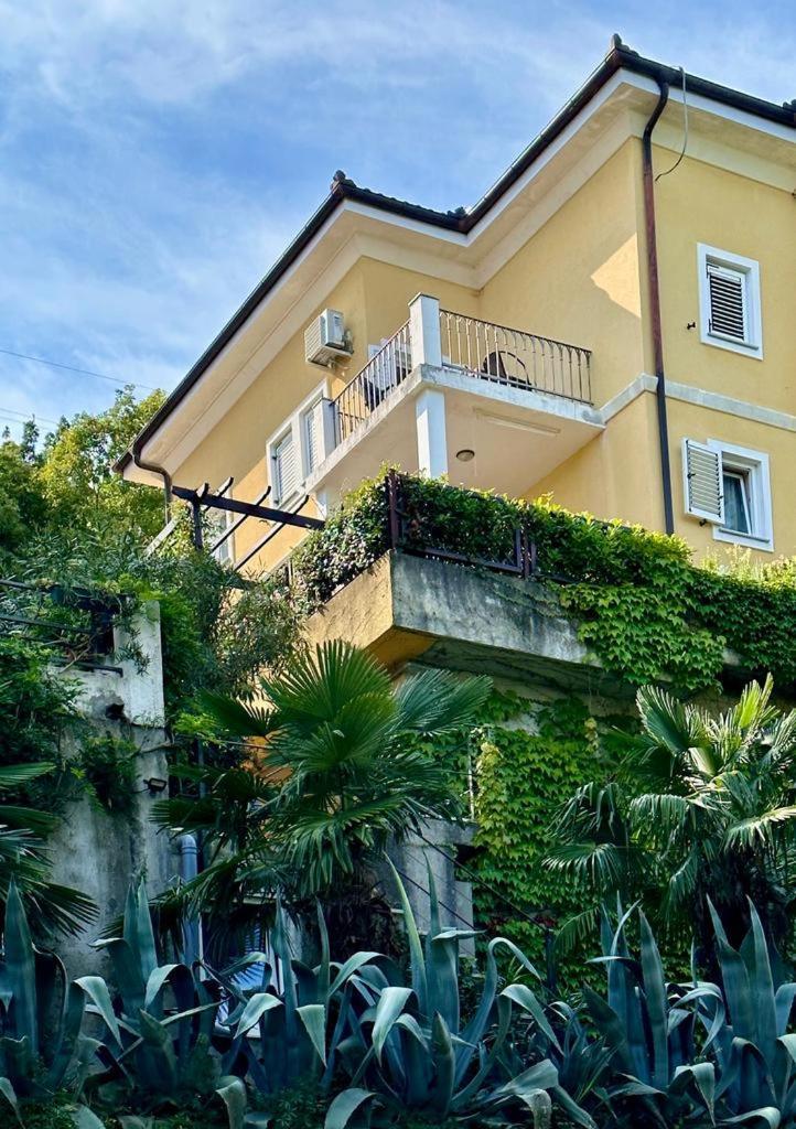 Meerblick Appartement